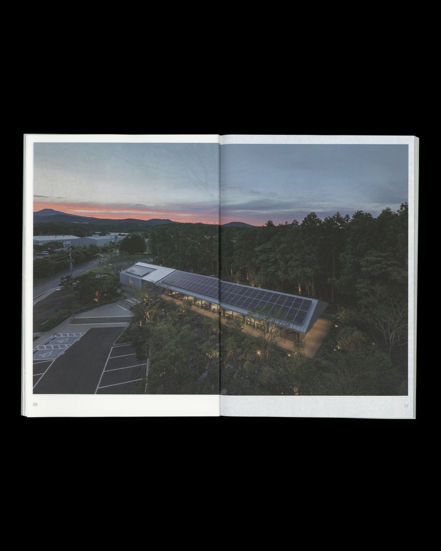 LIFETHINGS IRREGULAR Vol.2