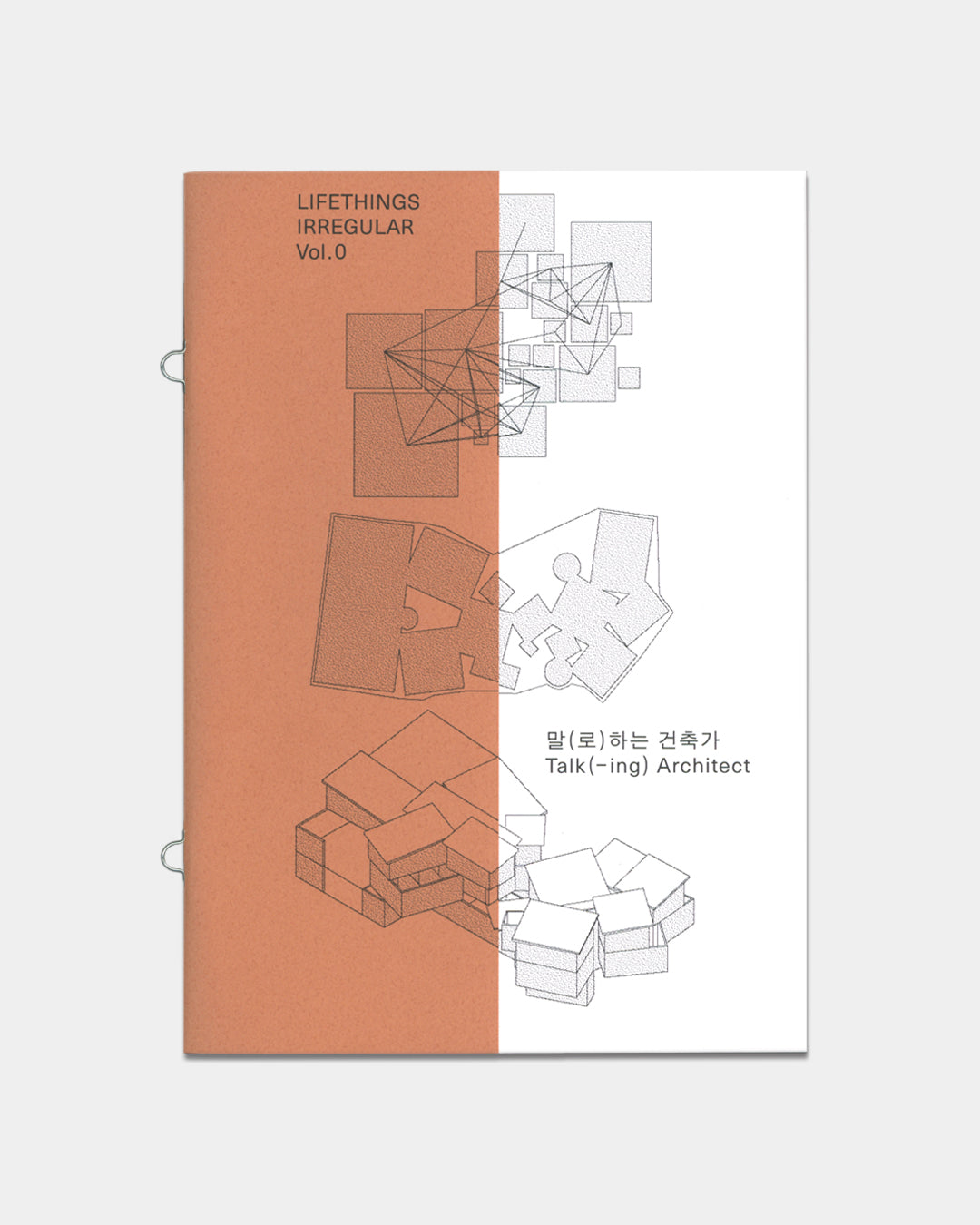 LIFETHINGS IRREGULAR Vol.0